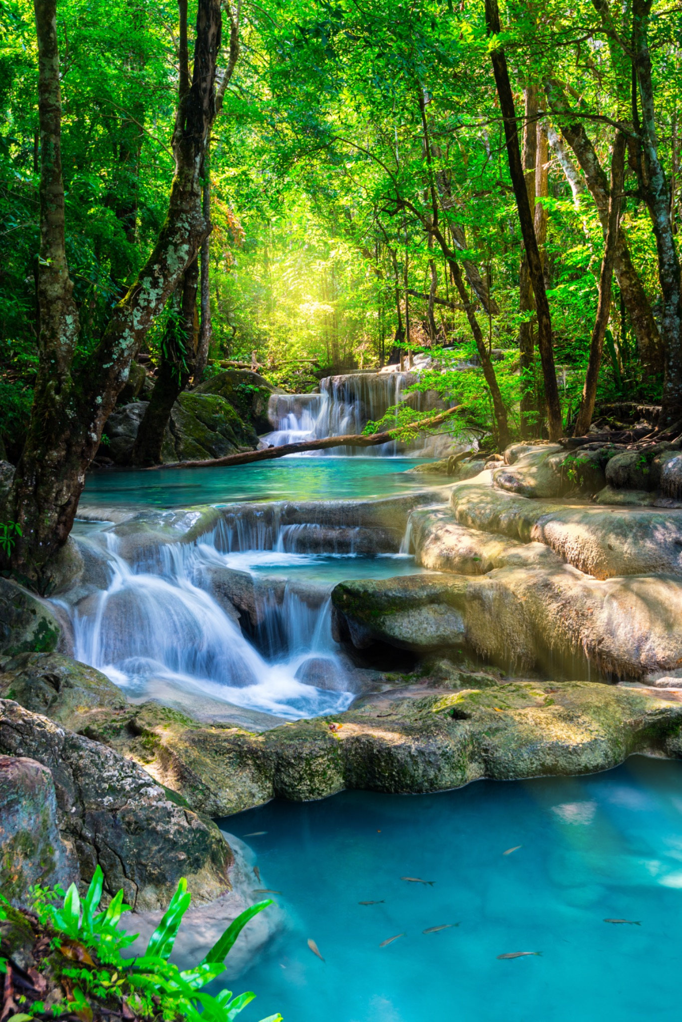 Mistic Falls scenic wallpaper – LH Lifestyle
